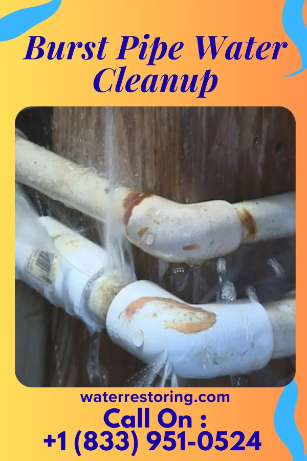 Burst Pipe Water Cleanup in Simms, OK